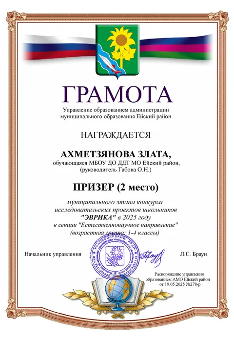 Ахметзянова З., ДДТ 2 место