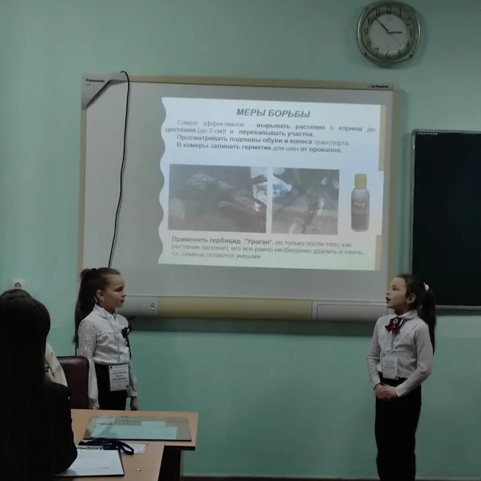 Mf6vEh-NeT_Ss9H4F6r-cFlzqqgdTcyL55bYbEJSNhg4r1veQUlLBMLpvgGil_o0MORPj1zv1kTXbvhZlaElPFyr