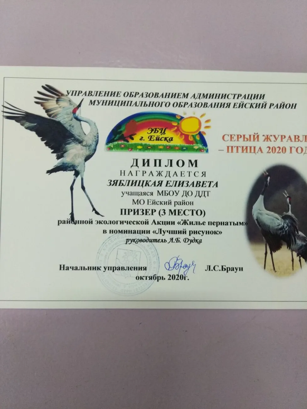 диплом зяблицкая елизавета