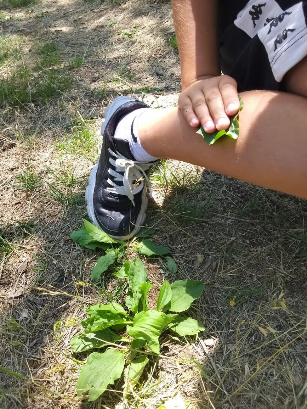 9fa36df1-60dd-445c-9b32-deb2fbf06a2c