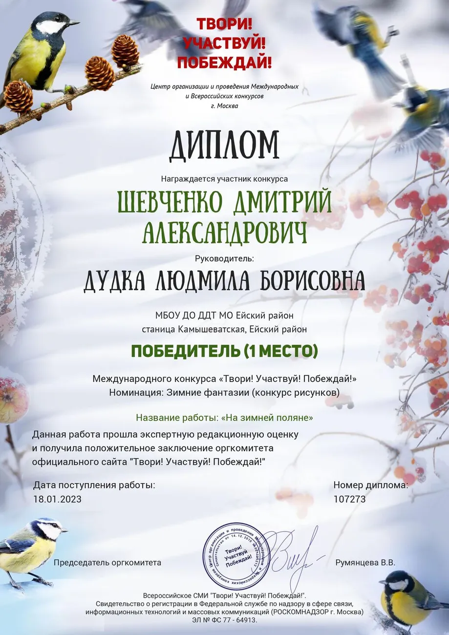 диплом шевченко дмитрий