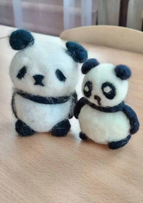 WhatsApp Image 2025-02-12 at 14.00.51