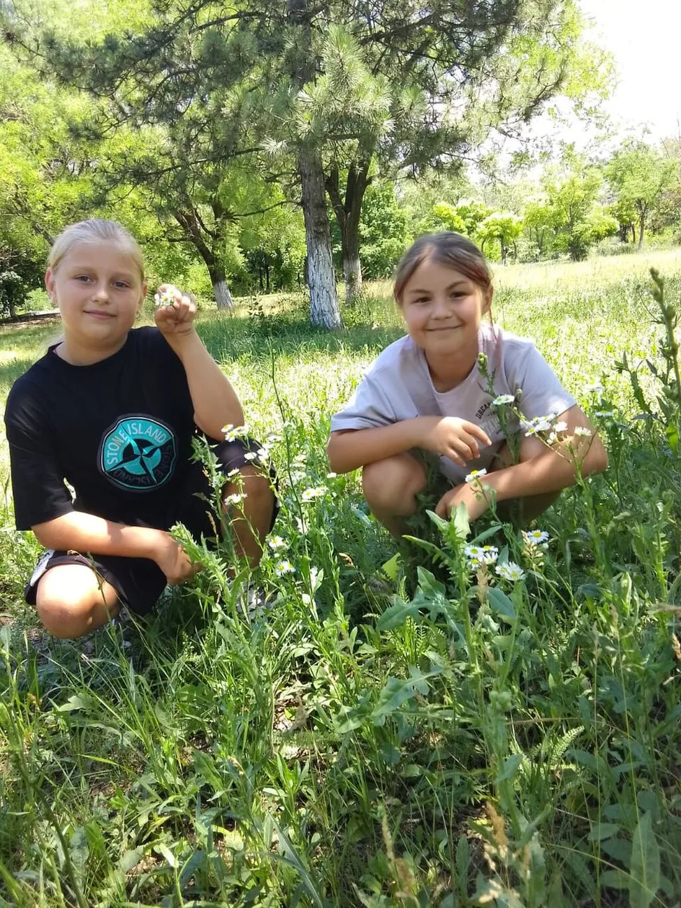 c5fd097b-fe7b-40ee-bfc1-434aae799884